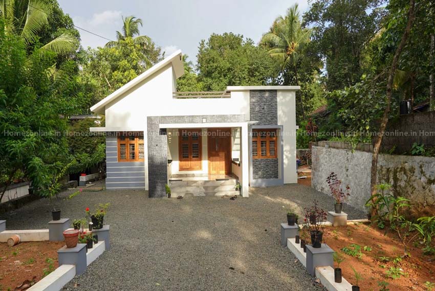 Beautiful low budget single storey house