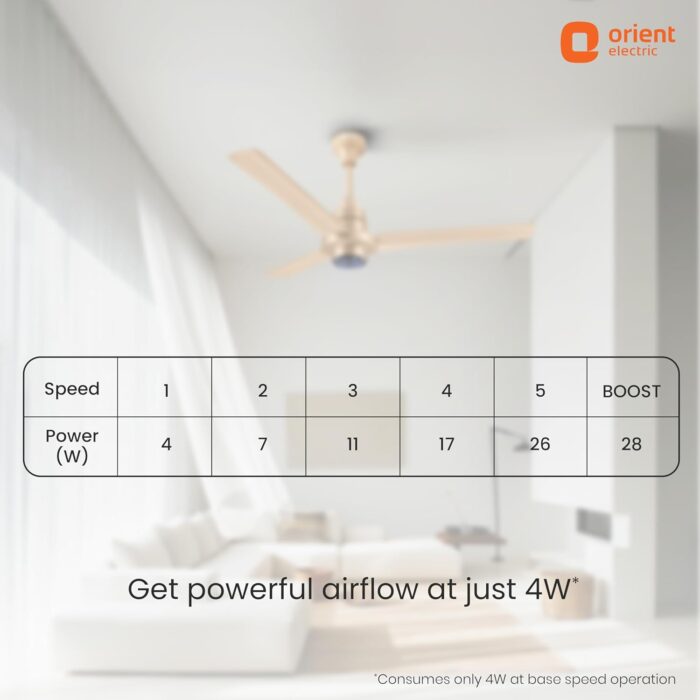 Orient Electric I Tome Pro 1200 mm BLDC Ceiling Fan with Remote & LED ... - Image 7