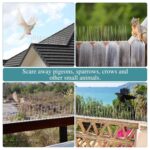 Kuber Industries Pack of 6 Transparent Bird Spikes for Pigeon Control ... - Image 6