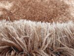 Carpet collection Soft Handwoven Fiber Modern Rectangular Rug Plain Ca... - Image 4